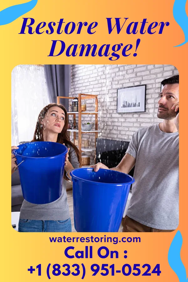 water restoration Platinum Extraction Team Berryville