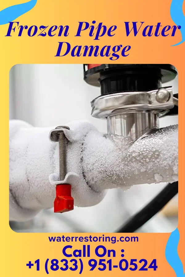 Frozen Pipe Water Damage in Berryville, TX