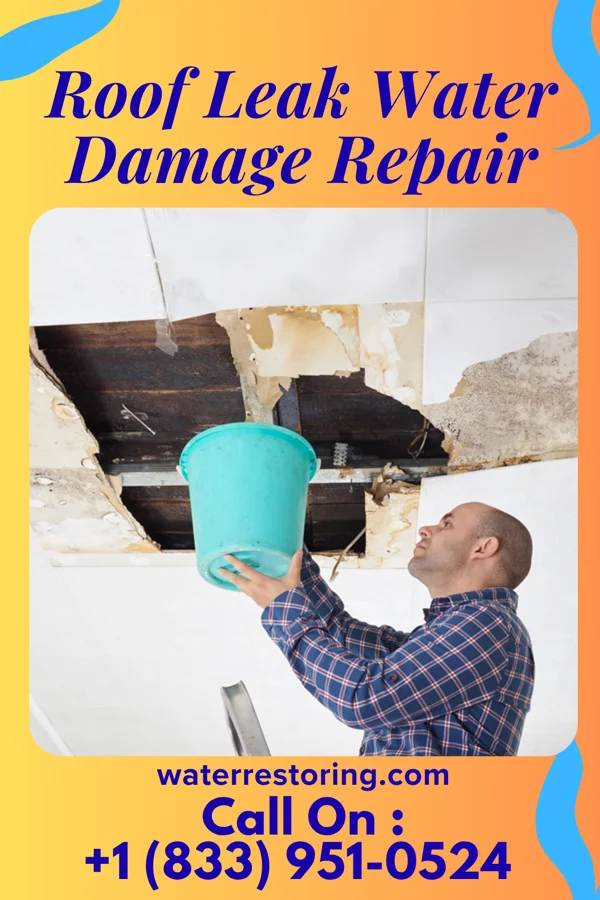 Roof Leak Water Damage Repair in Berryville, TX